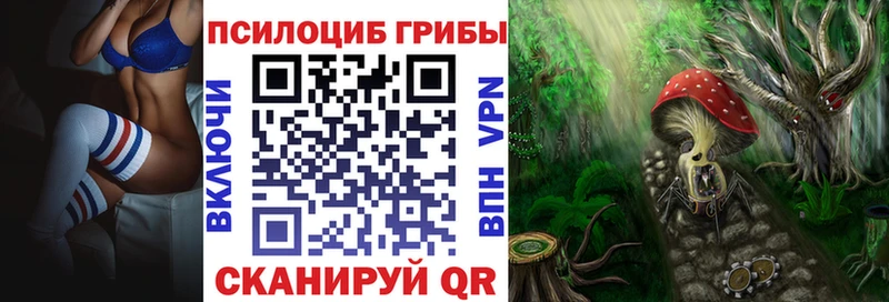 где можно купить Волжский Псилоцибиновые грибы мухоморы
